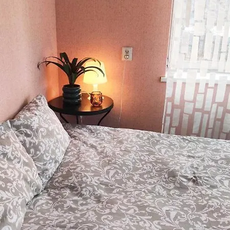 Hostel Cozy In