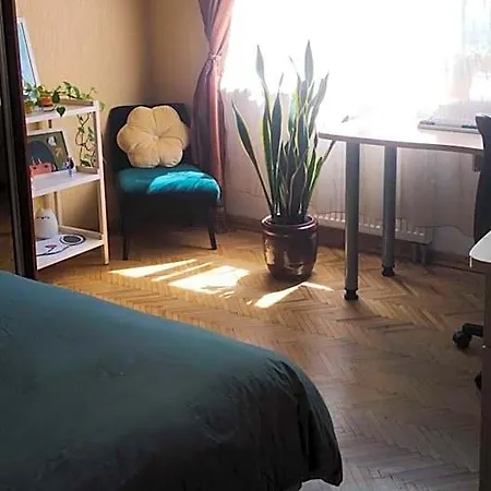 Cozy In Hostel