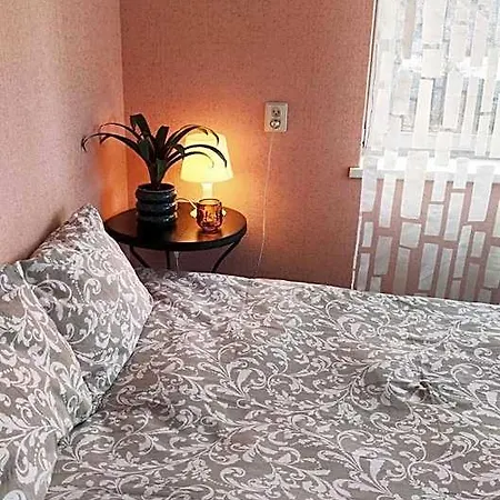 Hostel Cozy In *